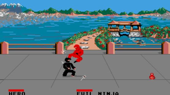 Screenshot Ninja 3