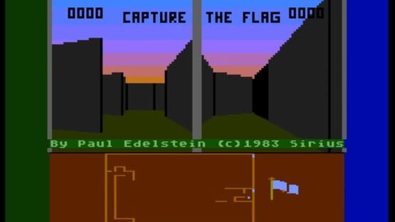 Screenshot Capture the Flag 1