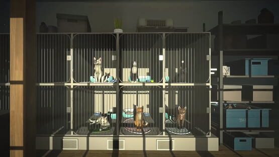 Screenshot Copycat 3