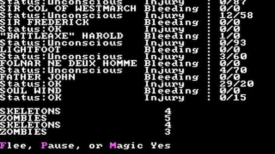 Screenshot Wizard's Crown 2