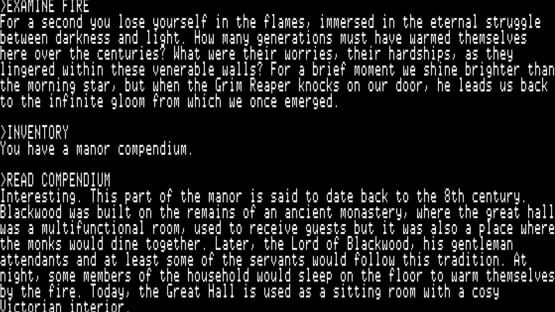 Screenshot The Ghosts of Blackwood Manor 3