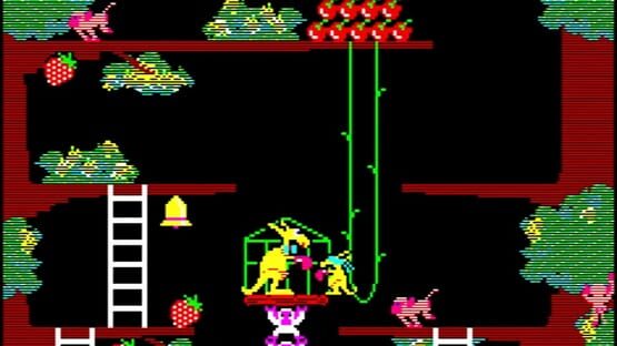 Screenshot Kangaroo 3