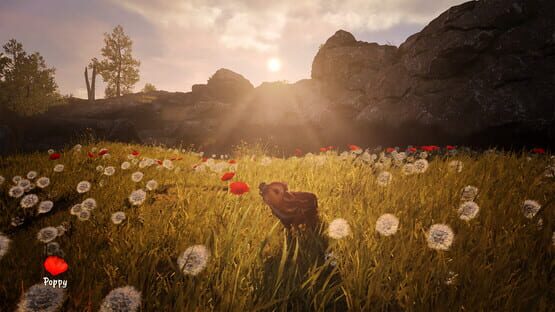 Screenshot Adorable Adventures 2