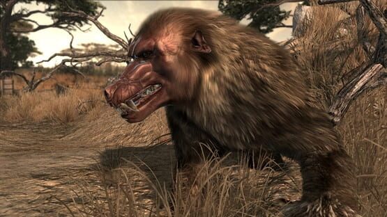 Screenshot Cabela's Dangerous Hunts 2011 1