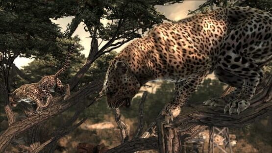 Screenshot Cabela's Dangerous Hunts 2011 2