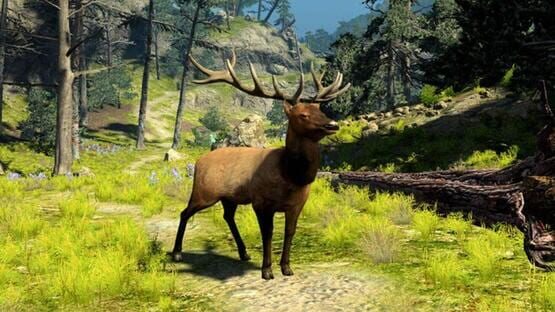 Screenshot Cabela's Big Game Hunter 2010 3