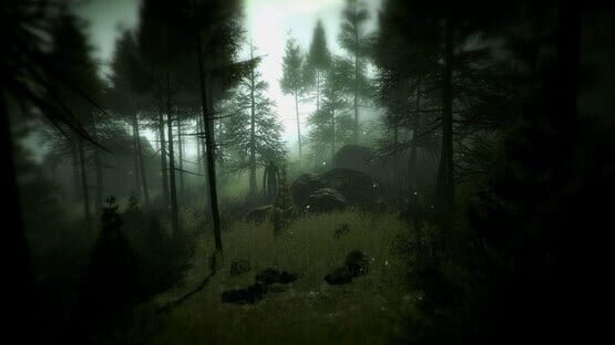 Screenshot Slender: The Arrival 2