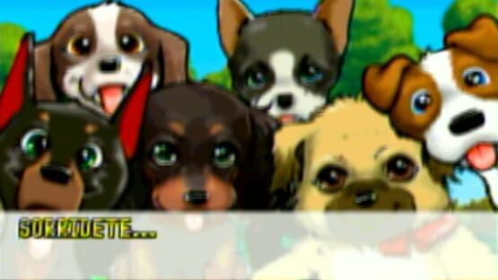 Screenshot Cuccioli Cerca Amici 3