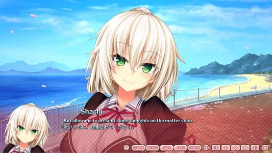 Screenshot The Princess, the Stray Cat, and Matters of the Heart 1