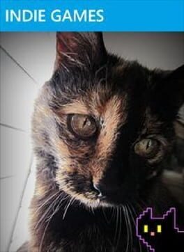 Cover A Game About My Cat