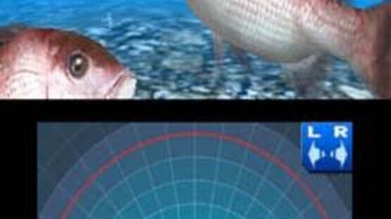 Cover Reel Fishing 3D Paradise
