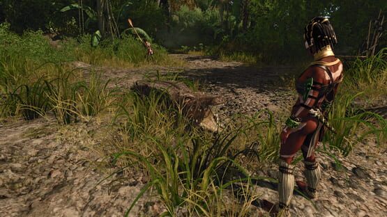 Screenshot Risen 2: Dark Waters 3