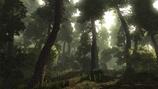Screenshot Risen 2