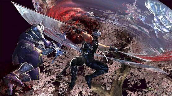 Screenshot Ninja Gaiden II 2