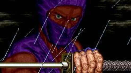 Screenshot Ninja Gaiden 3