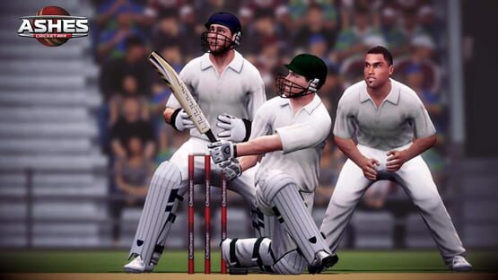 Screenshot Ashes Cricket 2013 2