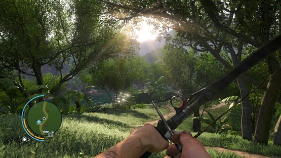 Screenshot Far Cry 3 2