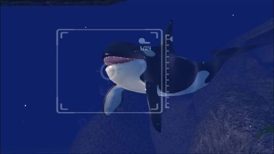Screenshot Sealife Safari 2