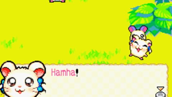 Screenshot Hamtaro: Rainbow Rescue 2