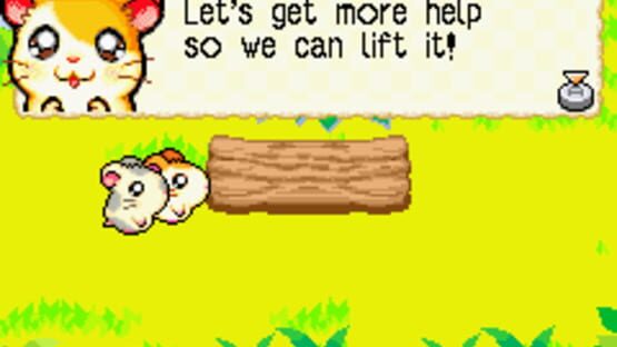 Screenshot Hamtaro: Rainbow Rescue 3