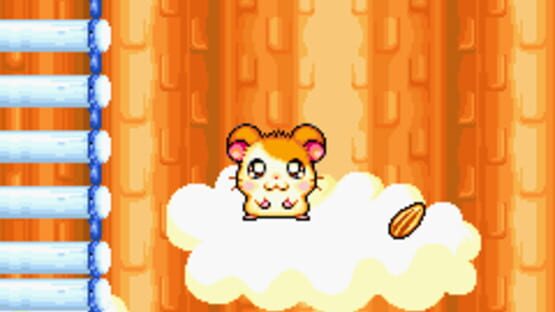 Screenshot Hamtaro: Ham-Ham Games 1