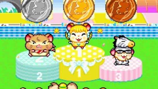 Screenshot Hamtaro: Ham-Ham Games 3