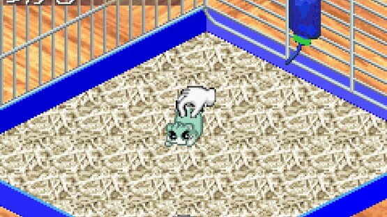 Screenshot Hamster Monogatari 3 GBA 2