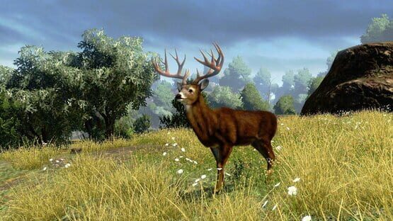 Screenshot Cabela's Outdoor Adventures 2