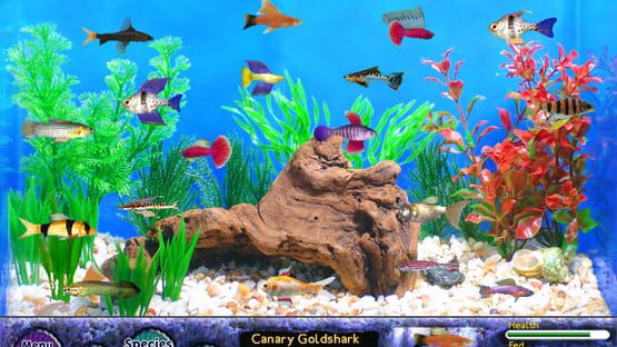 Screenshot Fish Tycoon 3