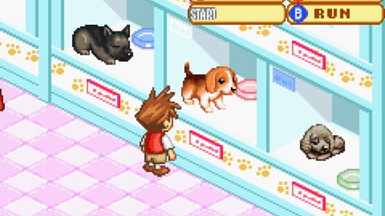 Screenshot Dogz 2 1
