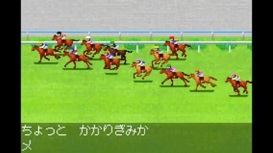 Screenshot Derby Stallion Advance 3