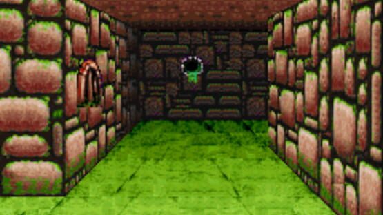 Screenshot Dungeons & Dragons: Eye of the Beholder 2