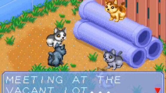 Screenshot Catz 1