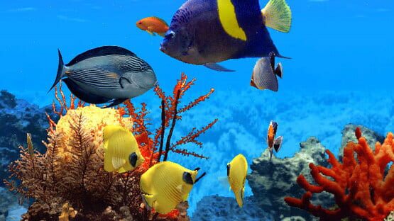 Screenshot Fish Life 1