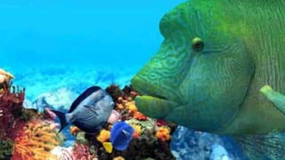 Screenshot Fish Life 3