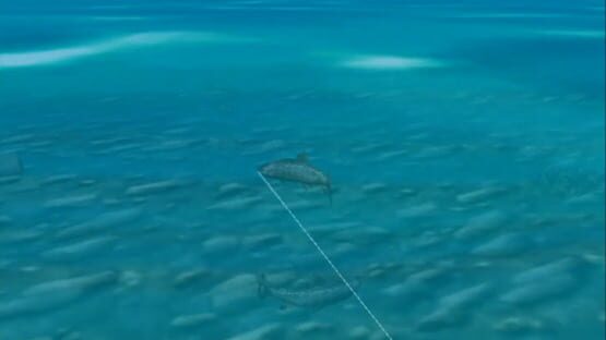 Screenshot Reel Fishing: Wild 1
