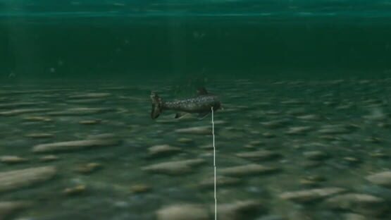 Screenshot Reel Fishing: Wild 3