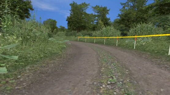 Screenshot Richard Burns Rally 3