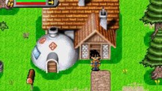 Screenshot Dragon Ball Z: The Legacy of Goku 1